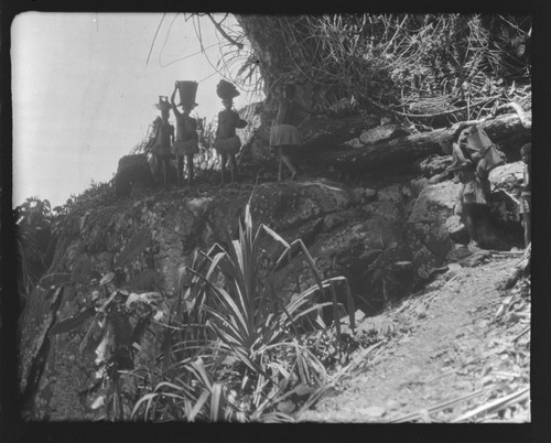 Group of women transporting goods on their heads, Rennell Island