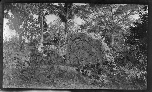 Rock on landscape, possible shrine