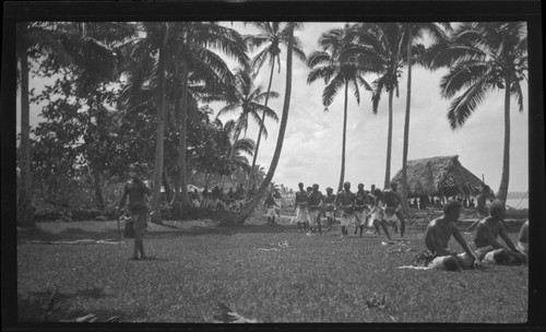 Group of men wearing traditional samoan skirt