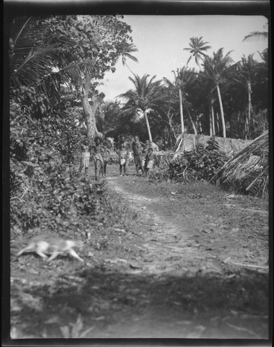 Group of men observing