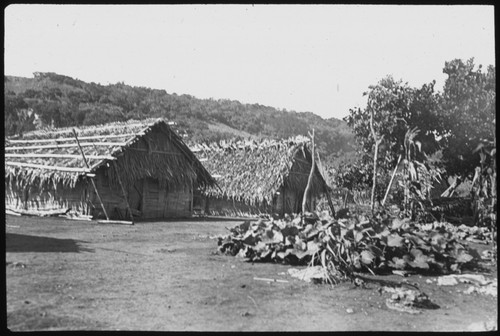 Village dwellings