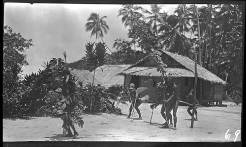 Santa Ana Dancers wearing barkcloth masks, carrying paddle-shaped clubs and spears