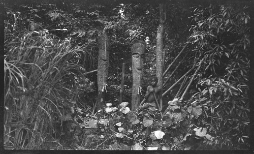 Boy next to sculptures in the bushes