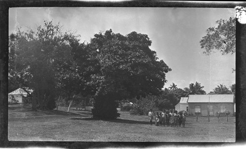 Group portrait at a distance