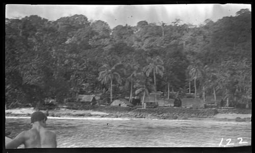 Distant view of village by the shore