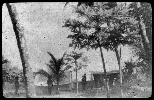 People in distance by a house