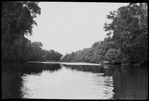 River at Espiritu Santo Island