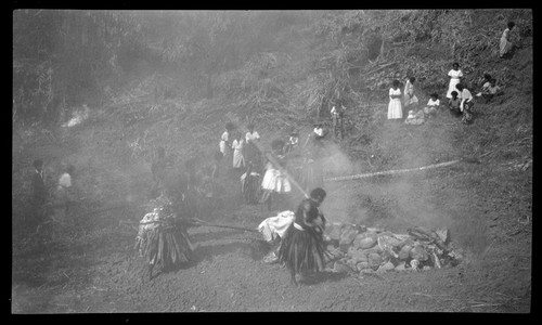 Fijian men in traditional costumes, walking over hot stones, also called fire walking