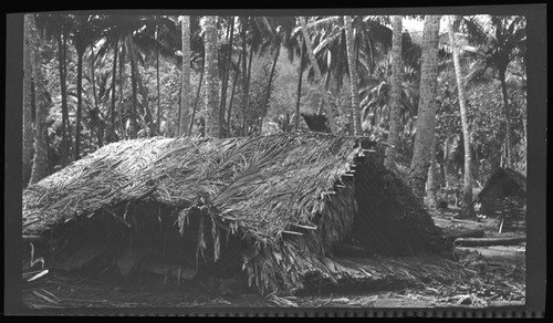 House at Labur Village, New Ireland