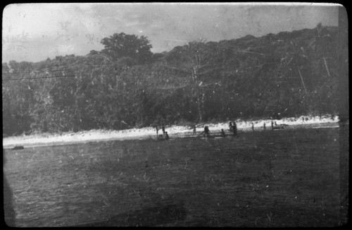 People along the shore, some in canoes