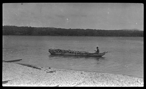 Man rowing a canoe with a load of coconuts