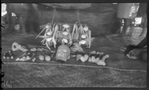 Wicker casket with turtle carapace cover, containing bones of Kourabi, an ancestor, being lowered from roof of a maneaba, meeting house, on Tabiteuea