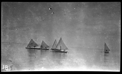 Kiribati canoes with sails