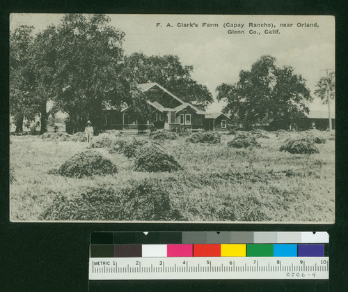 F.A. Clark's Farm (Capay Rancho), near Orland, Glenn Co., Calif