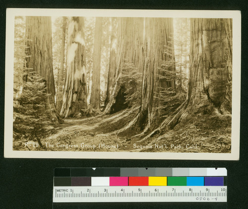 The Congress Group (House) - Sequoia Nat'l. Park, Calif