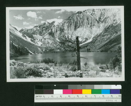 Convict Tree and Lake Mono County, Calif