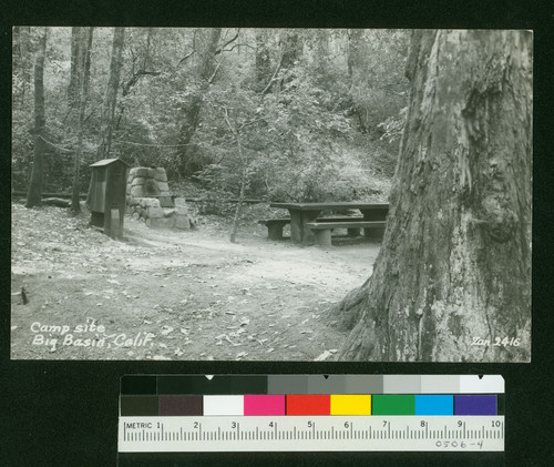 "Camp site" Big Basin, Calif