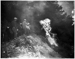 Lake Arrowhead fire (forest), 1953