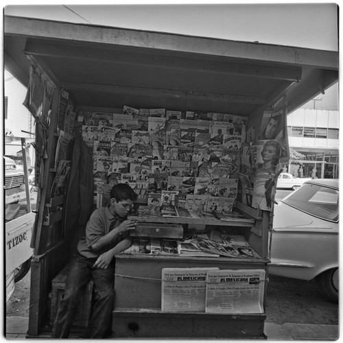 Newspaper and magazine stand