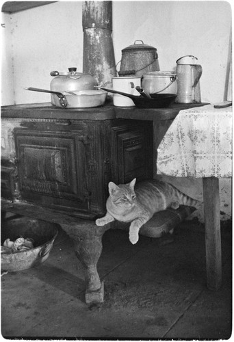 Kitchen at Rancho Carrizito