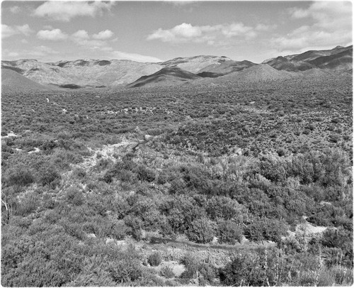 Entrance to Arroyo of La Rinconada just north of Brecha El Salto / El Rosarito