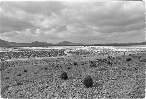 Rancho Laguna Chapala