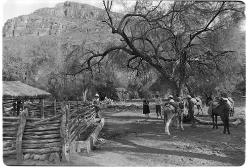 Corral at Rancho San Estanislao