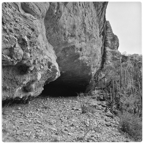 Rock art at San Borjitas