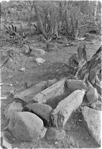 Agave roasting area in Rancho San Martín area