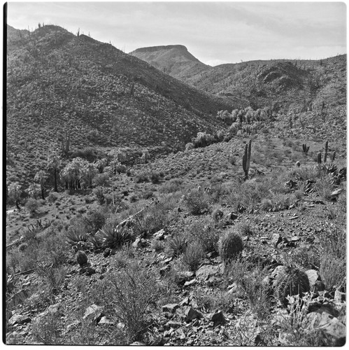 Arroyo El Portezuelo in the Sierra de San Pedro Mártir