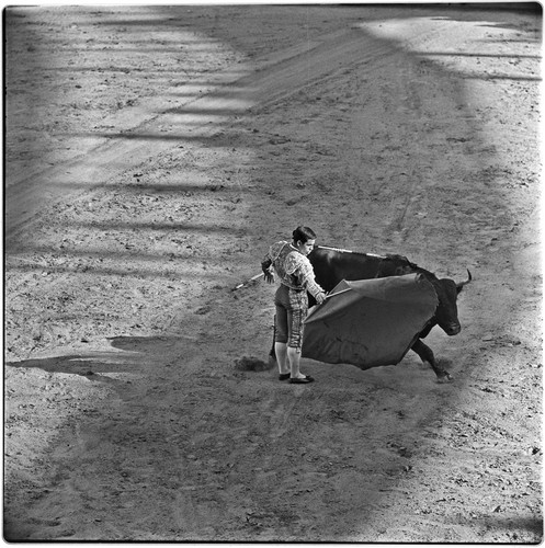 Bullfighting at La Plaza de Toros El Toreo de Tijuana