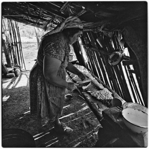 Making goat cheese at Rancho Pie de la Cuesta