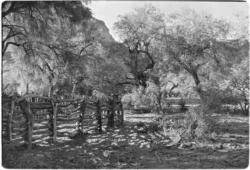 Corral at Rancho San Estanislao