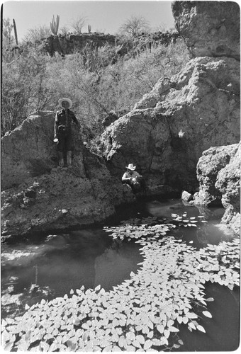 Water source at Rancho Las Jícamas