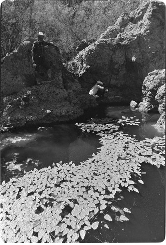 Water source at Rancho Las Jícamas