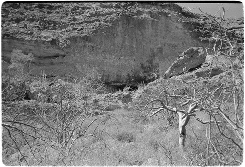 Rock art near Rancho San Gregorio