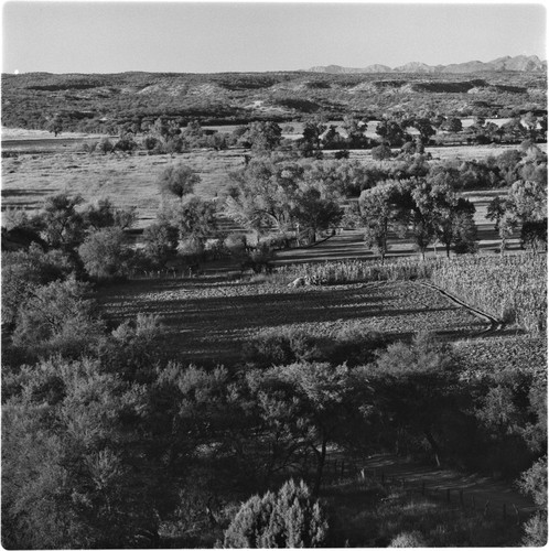 Agricultural lands near San Miguel de Horcacitas