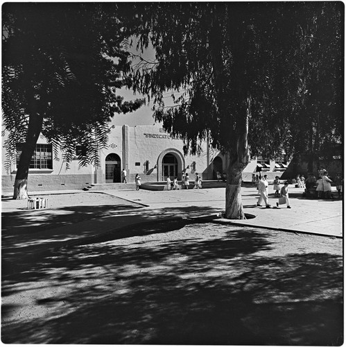 Escuela "Sindicato Alea Roja"