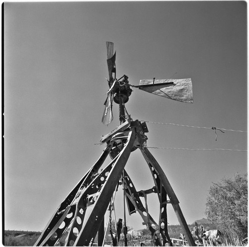 Windmill pump built from auto parts near San Ignacio