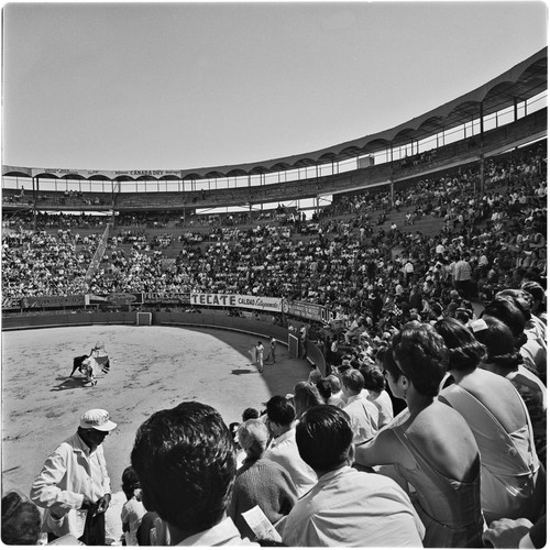 La Plaza de Toros El Toreo de Tijuana