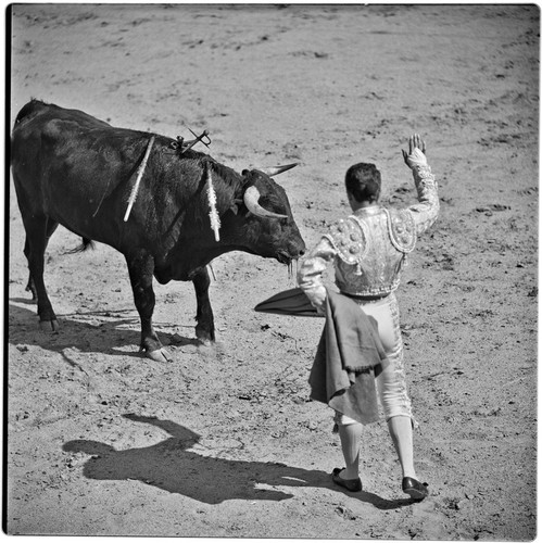 Bullfighting at La Plaza de Toros El Toreo de Tijuana