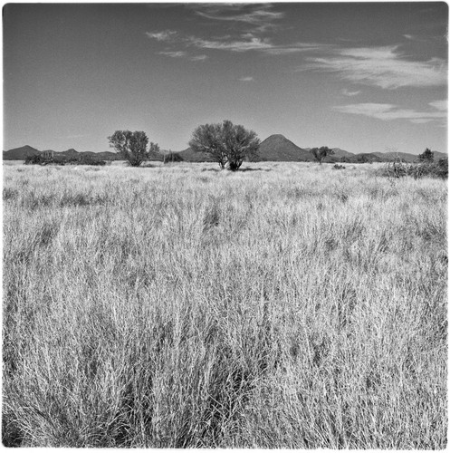 Landscape near Chupisonora