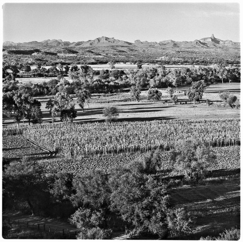 Agricultural lands near San Miguel de Horcacitas