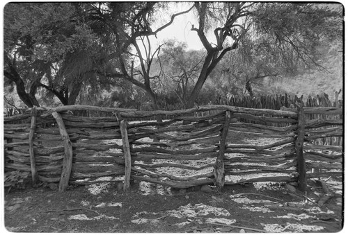 Corral at Rancho San Estanislao