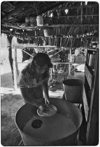 Making cheese at Rancho San Martín