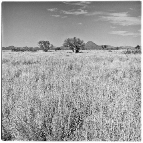 Landscape near Chupisonora