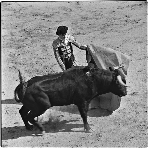 Bullfighting at La Plaza de Toros El Toreo de Tijuana