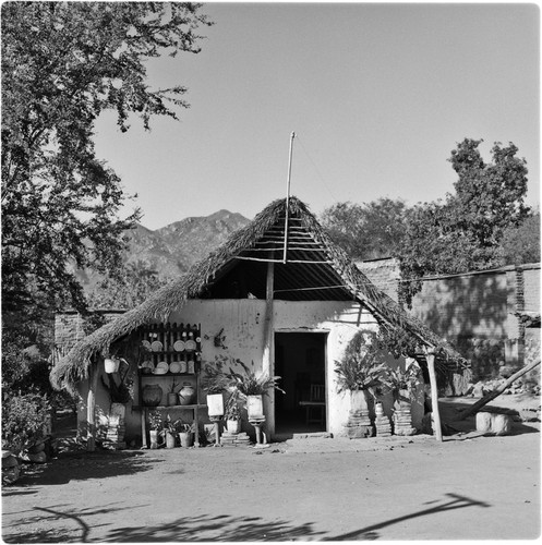 Curio shop in Álamos