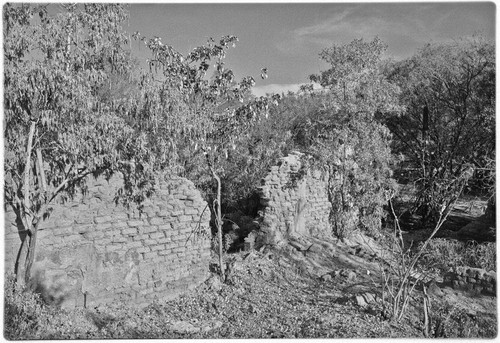 Adobe ruin at Real de Santa Ana