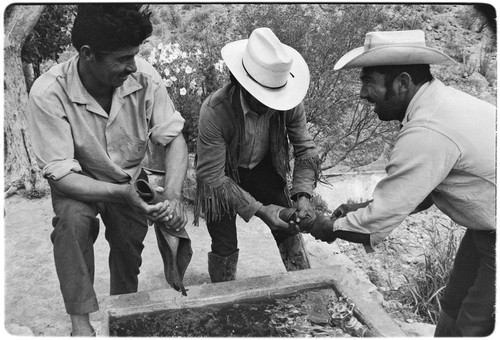 Francisco Arce washing leather at Rancho San Gregorio